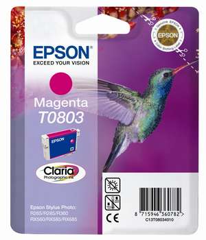 Epson t08034010 cartuccia magenta 7,4 ml