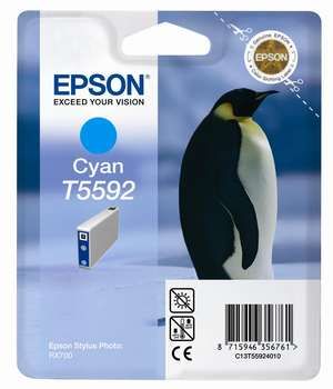 Epson t55924010 cartuccia cyano