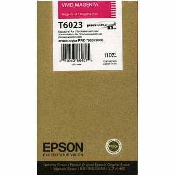 Epson T602300 
