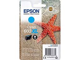 Epson C13T03A24010 Epson 603XL (C13T03A24010)Cartuccia d'inchiostro ciano
